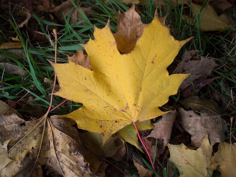 Olympus OM-D E-M1 - profesjonalista w swojej klasie [test] 40