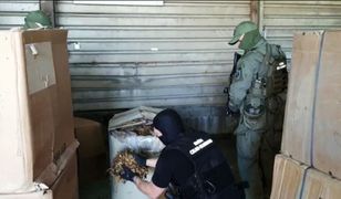 Skarbówka przechwyciła 20 ton nielegalnego suszu tytoniowego