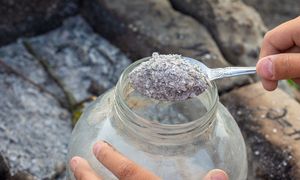 Wsyp pół łyżeczki do doniczki. Rośliny szybko się odwdzięczą