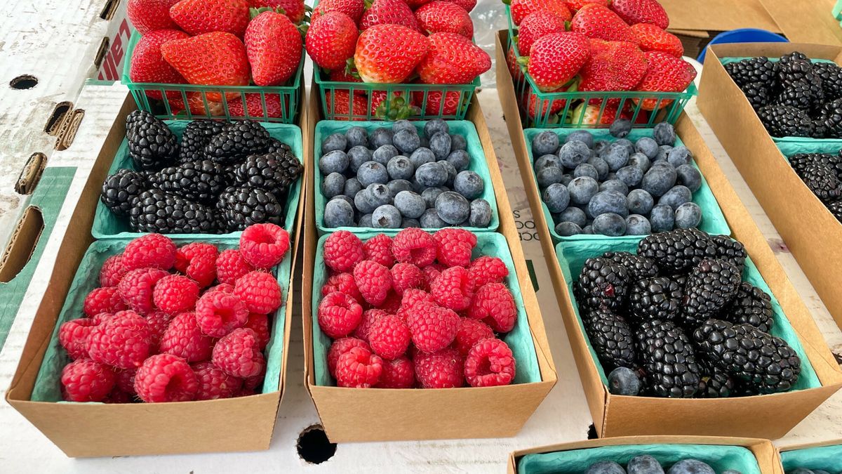 Susza może ograniczyć tegoroczne zbiory