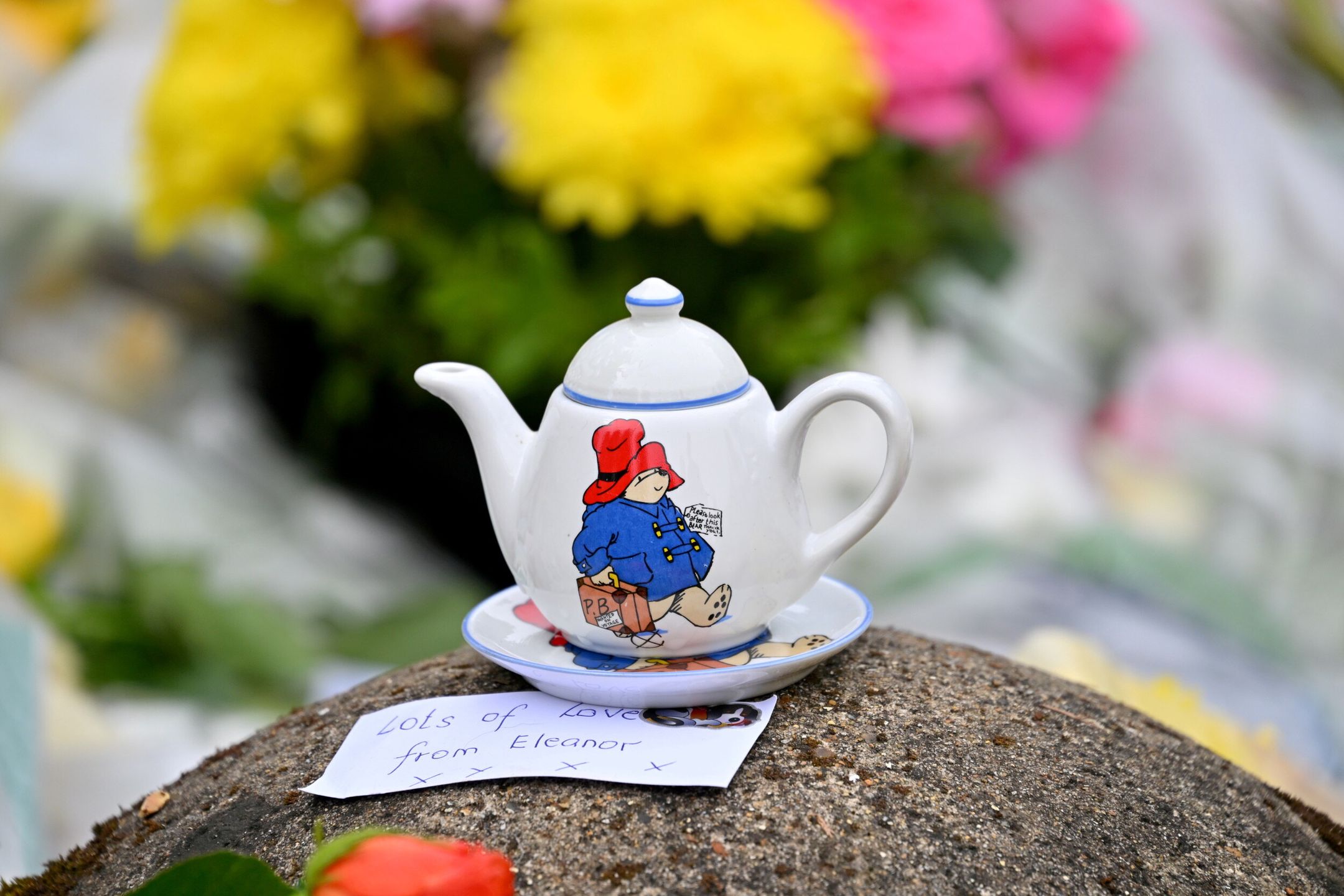 Miś Paddington