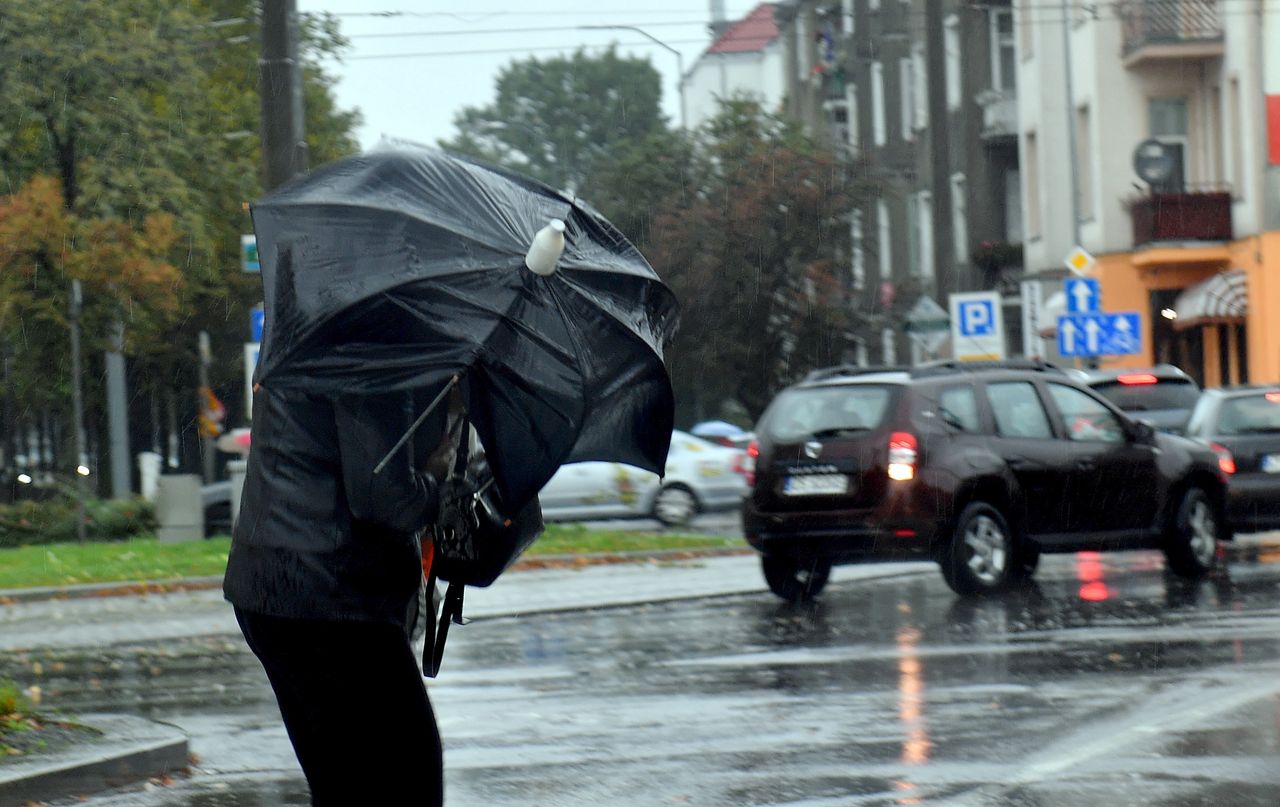 Pogoda. Ostrzeżenia IMGW. Uwaga na silne wiatry i intensywne opady