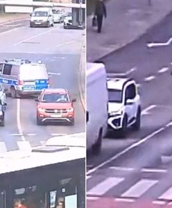 Łoś biegał po centrum Bydgoszczy. Nie było łatwo go złapać