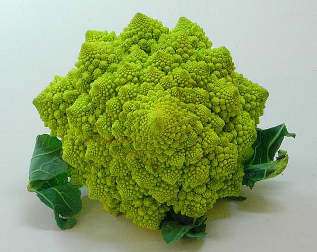 Kalafior romanesco