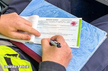 Kontrola z drona. Posypały się mandaty