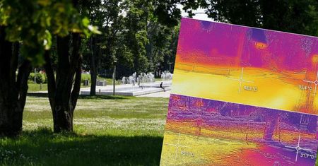 Wycięli drzewa, pojawił się skwar. "Drzewa, jak klimatyzatory". Aktywiści zmierzyli temperatury w upał