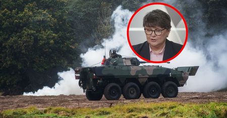 "Wycisnąć jak cytrynę program SAFE". Ekspert o strategii Polski