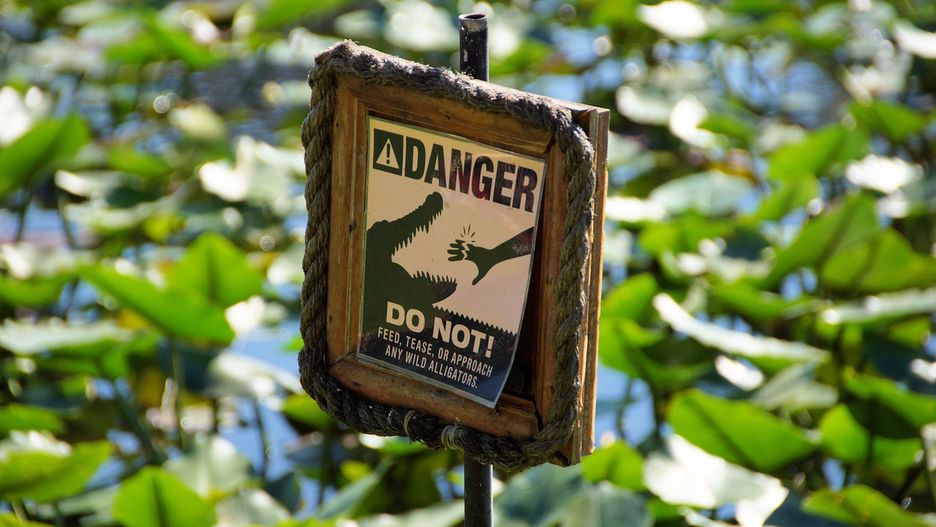 "Aligatorowe Alcatraz" powstaje na Florydzie