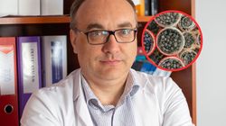 WZW typu A w borówkach. Zakaźnicy mają radę dla Polaków