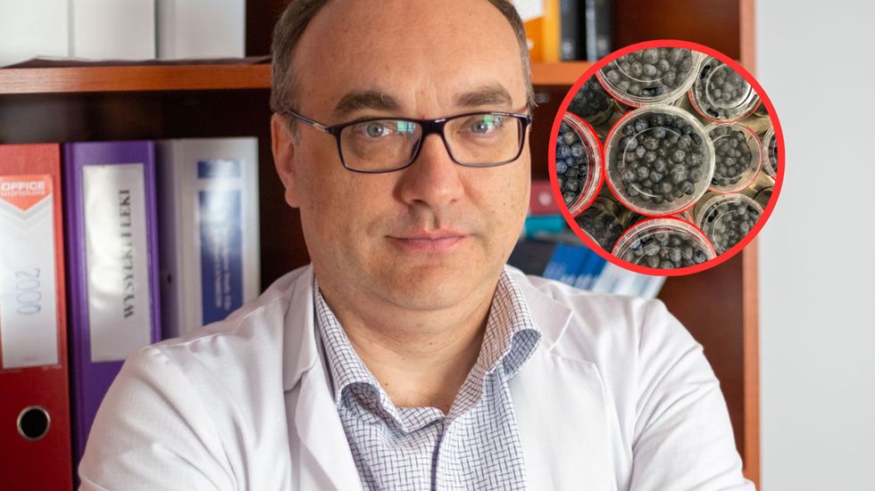 Prof. Jaroszewicz ostrzega przed WZW A