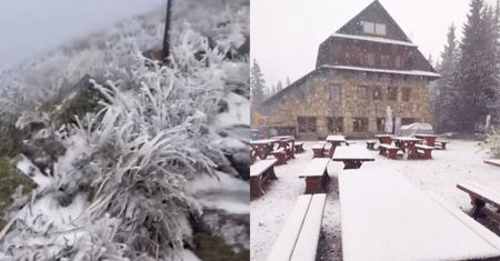 Zima wróciła w Tatry! Śnieg już od 1700 m n.p.m., biało na Kasprowym i przy Murowańcu