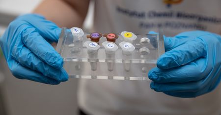 Koronawirus. Powstał lek neutralizujący SARS-CoV-2. Będzie przełom?