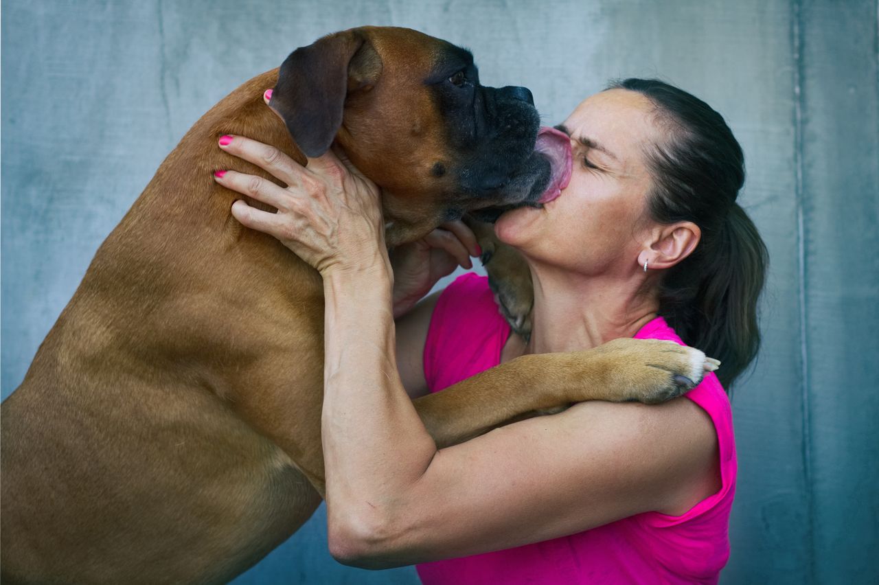 Does the dog lick your face or hands?