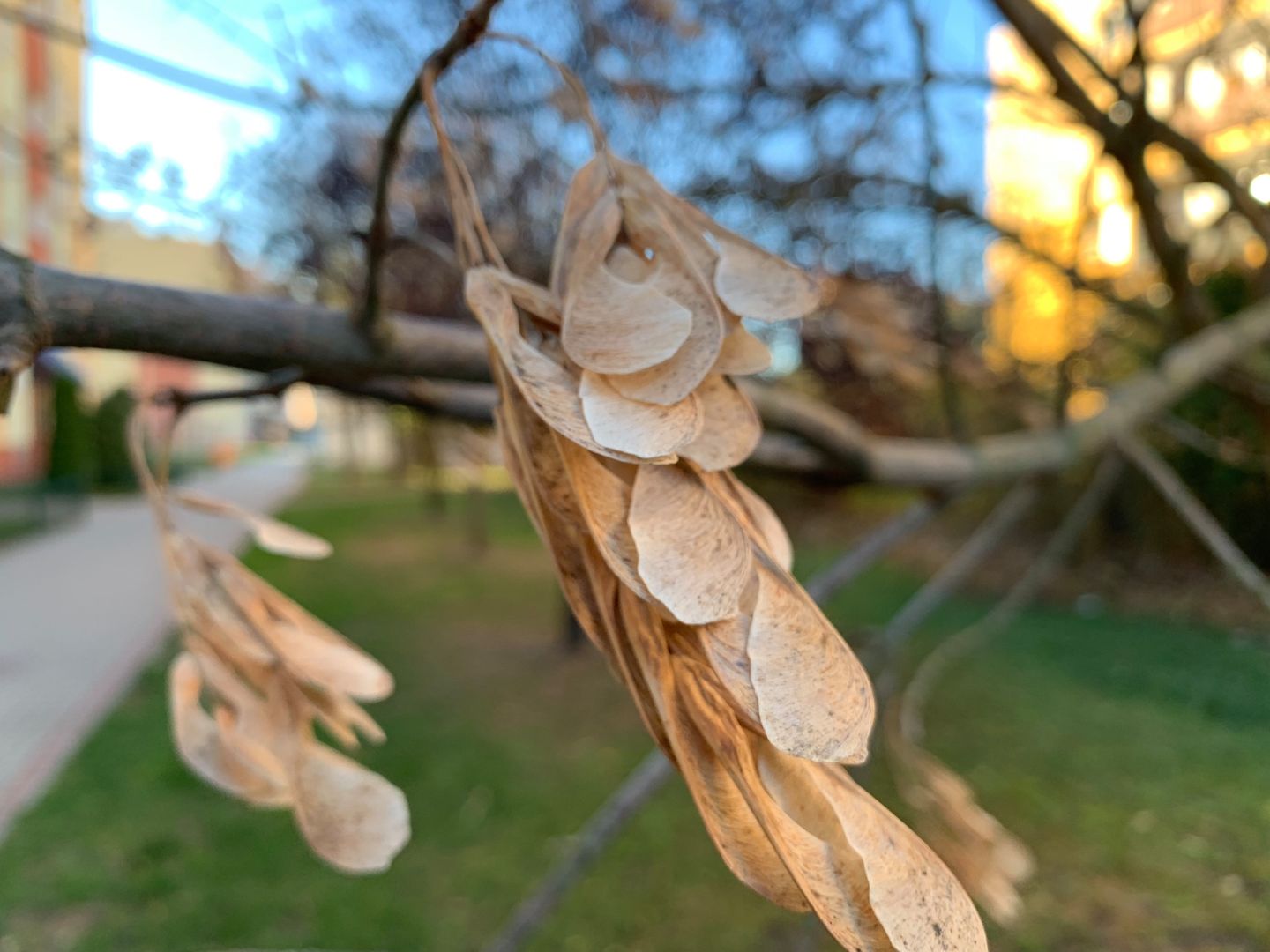 iPhone XS Max, czyli więcej tego samego, ale drożej [TEST] 40