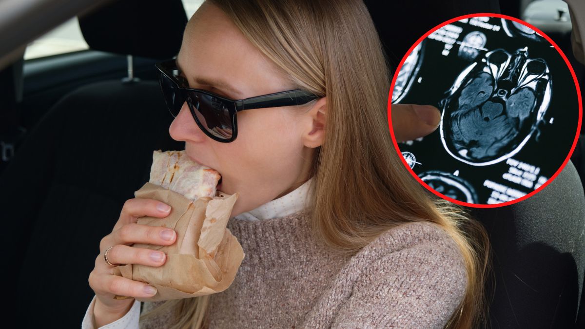 Wpływ diety na mózg