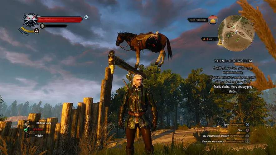 Wiedźmin 3: Dziki Gon