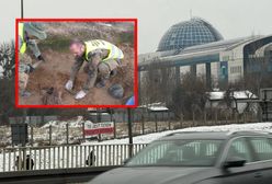 Archeolodzy odkopali ich 13 lat temu. Wciąż leżą w kartonach