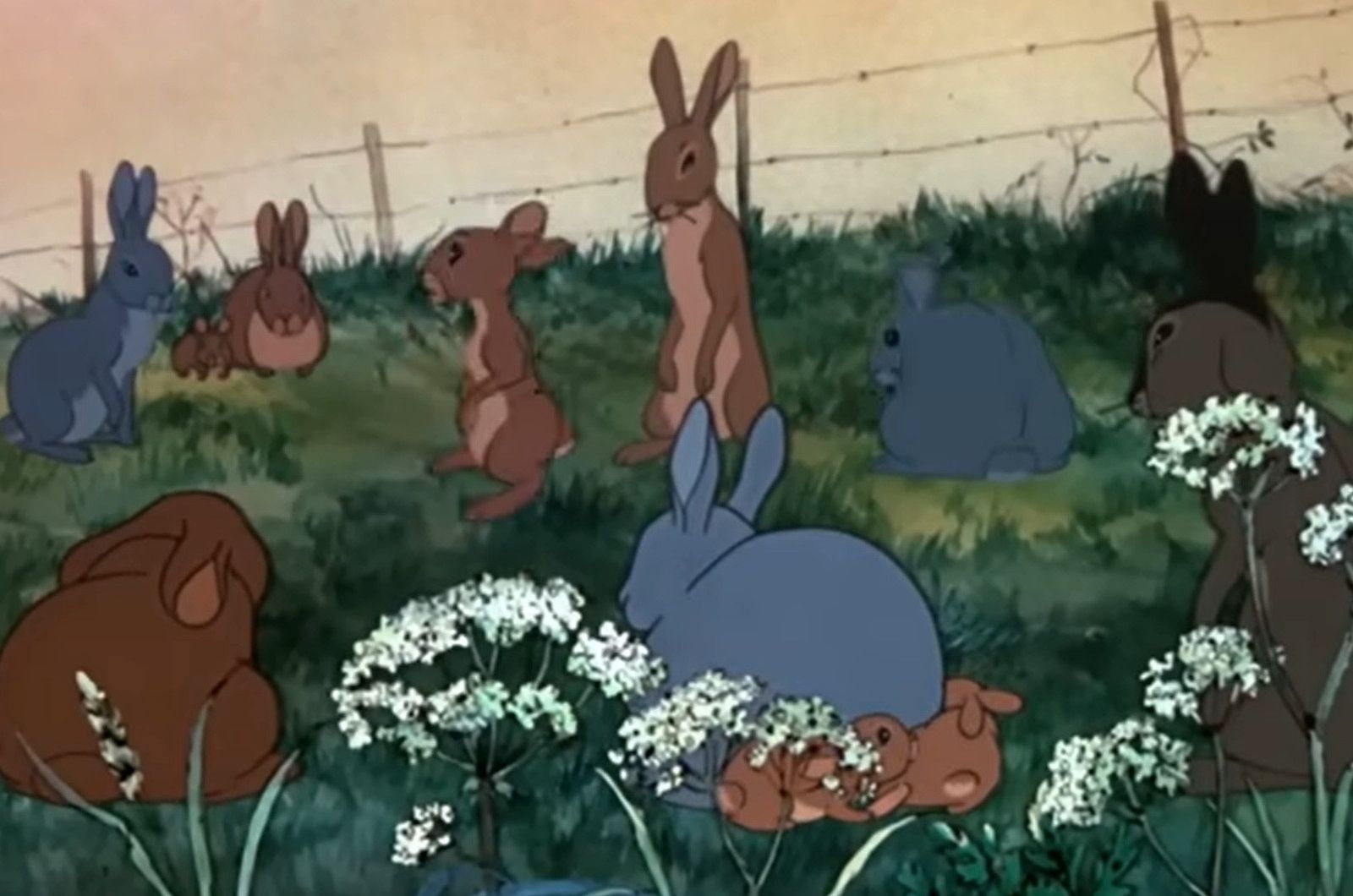 Pokazali tę animację w Wielkanoc. Film o królikach wywołał burzę