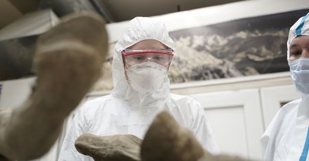 Prehistoryczne wirusy z Rosji. Zaskakujące, co odsłania wieczna zmarzlina