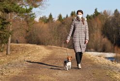 Wrocław. Ktoś pomógł ci w pandemii? Nominuj go do konkursu dla wolontariuszy