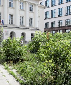 Warszawa. Śródmieście wspiera dzieci z niepełnosprawnościami. "Będziemy stołecznym liderem"