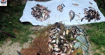 Wpadli na gorącym uczynku. 30 kg ryb wyłowili na dziko trzej mężczyźni.