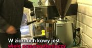Właściwości kawy. Jak ją poprawnie przygotować? (WIDEO)