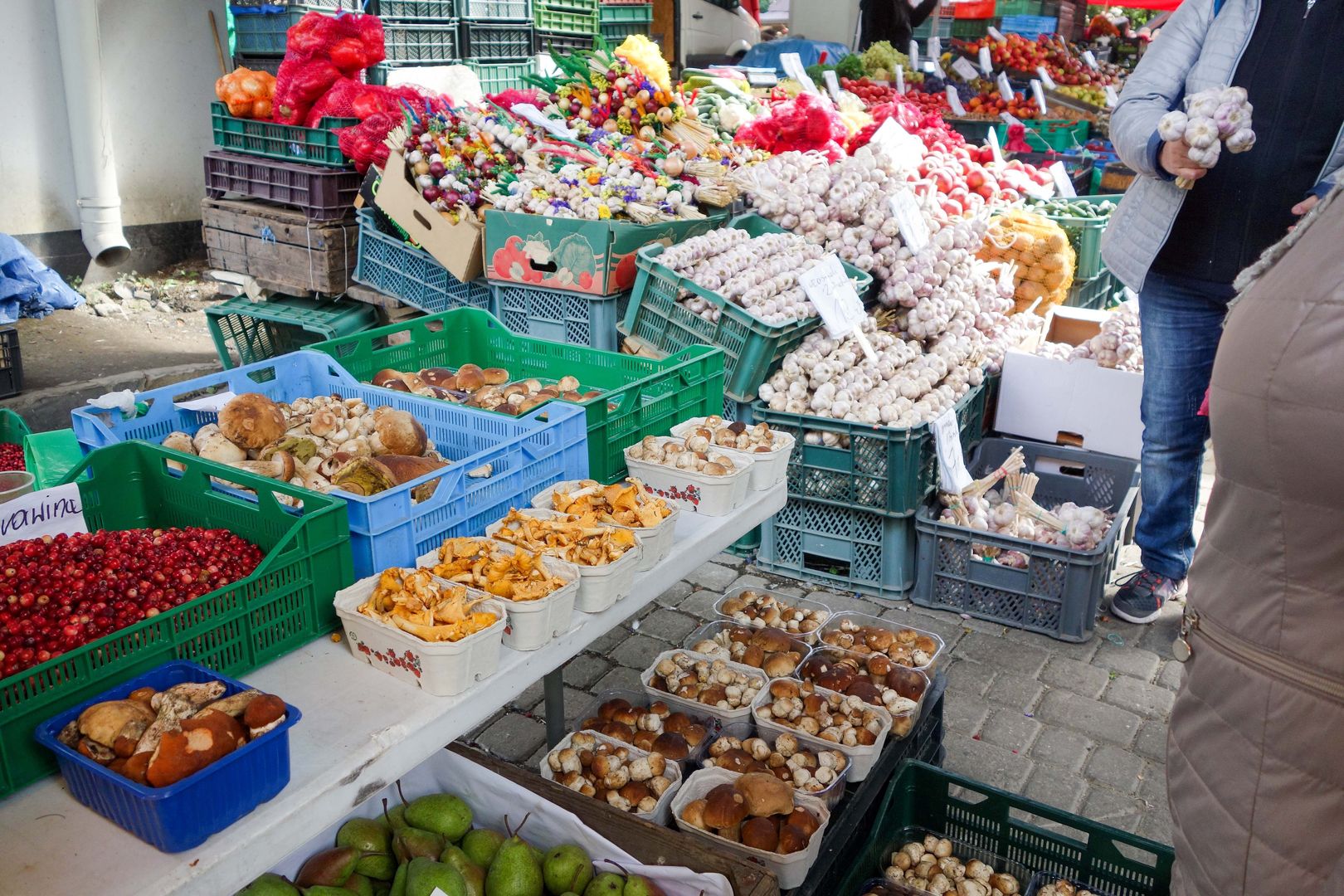 Chemia w polskich warzywach i owocach. Alarmujący raport. NIK rozkłada ręce