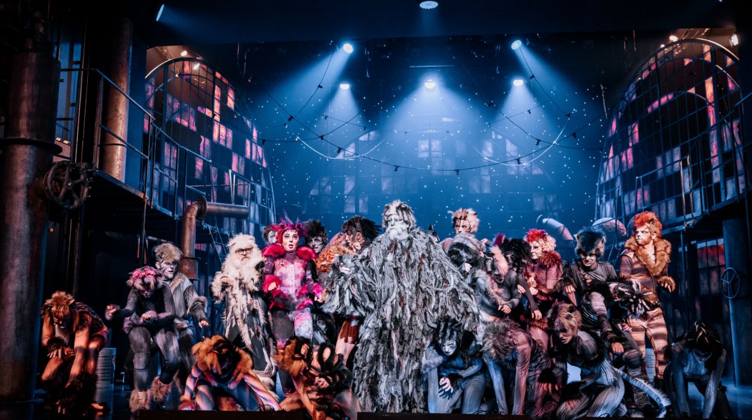 "Koty", Teatr Rozrywki w Chorzowie