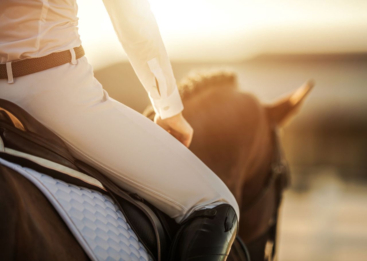 Żabno: XI Hubertus Nadsański, czyli gonitwa "za lisem", odznaczenia, pokazy psów i ptaków łownych