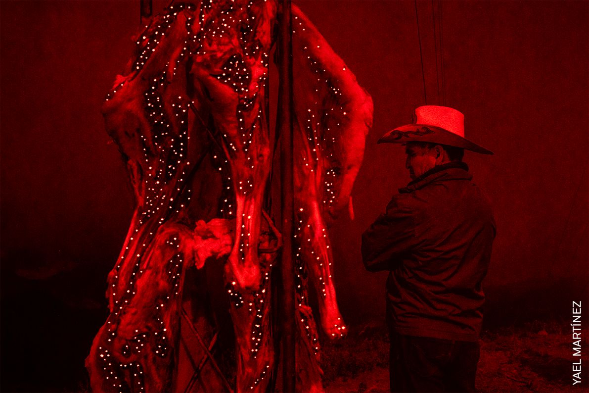 World Press Photo 2022: Poznaj najlepszych fotografów różnych kontynentów 89