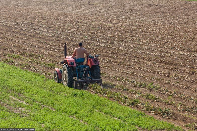 Nieuczciwe firmy pożyczkowe biorą się za rolników. Obiecują wiele, zabierają jeszcze więcej