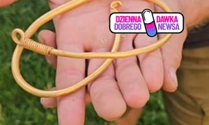 Ma ponad 2000 lat. Sensacyjne odkrycie pod Kaliszem