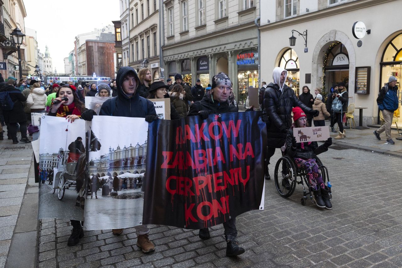 Kraków: Protestowali przeciwko dorożkom i apelowali o wolność dla koni