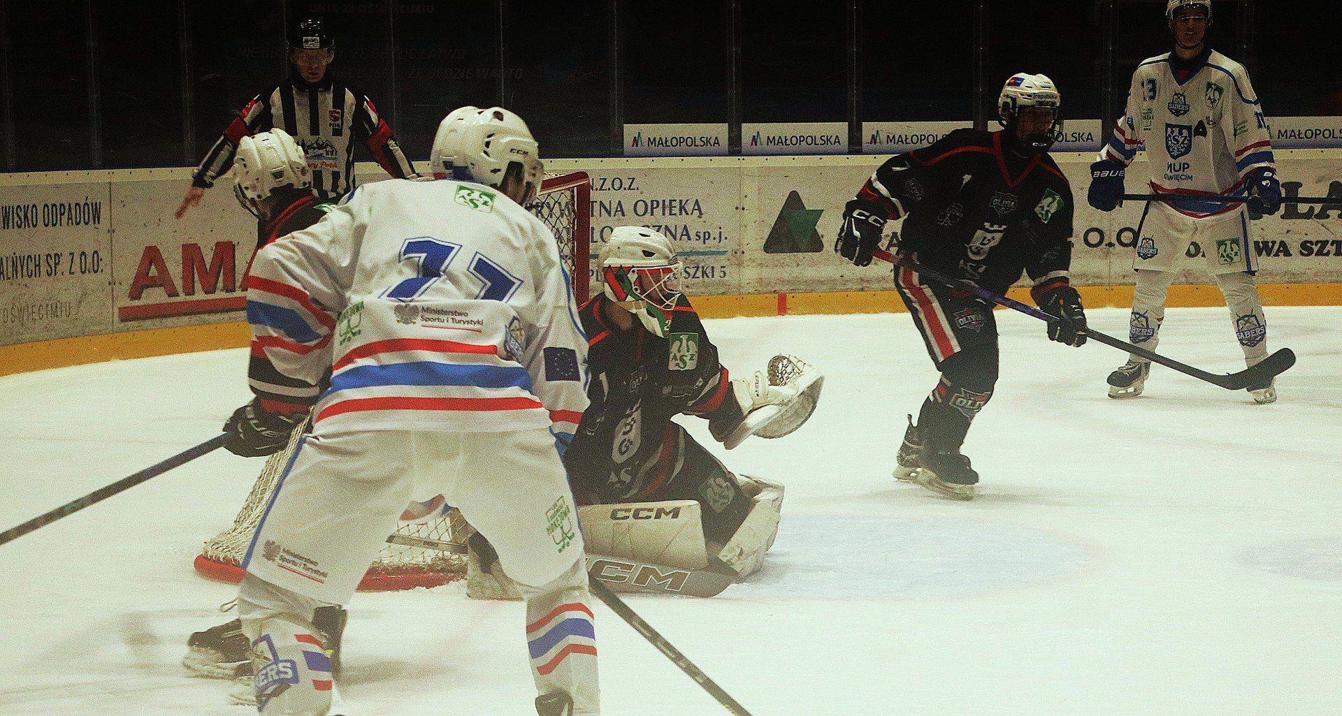 W Oświęcimiu rozegrano drugi turniej eliminacyjny hokejowej ligi akademickiej.