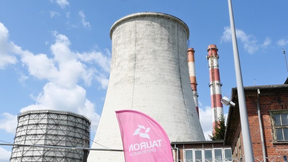 Głównym udziałowcem spółki jest Skarb Państwa posiadający 30,06% akcji.
