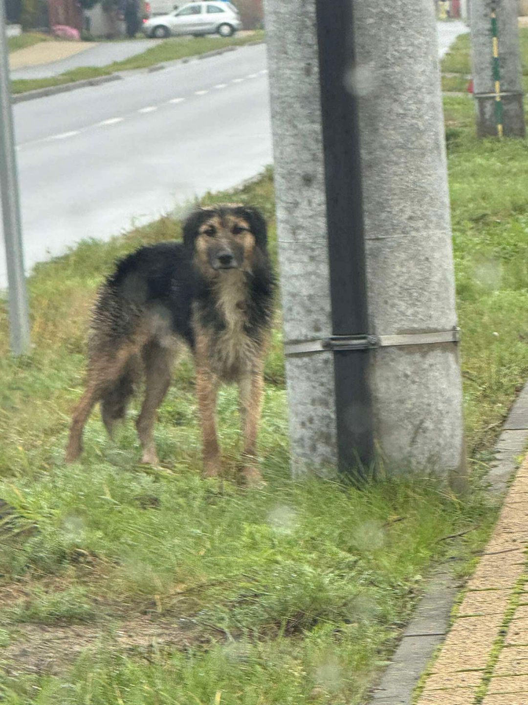 TOZ WŁOCŁAWEK 