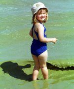 Morze kwitnie na zielono