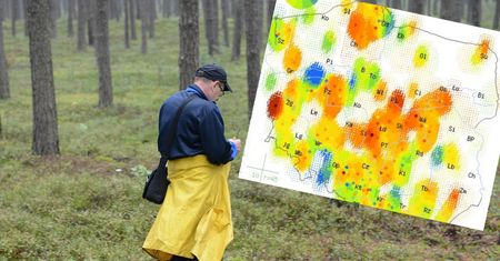 Mapa grzybów 2021 przewiduje fantastyczne warunki w ten weekend. Gdzie na grzyby?
