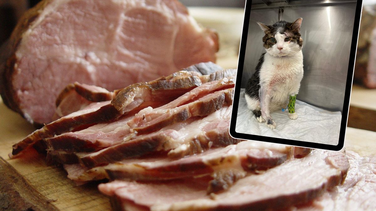 Skatował zwierzę z powodu plastra boczku