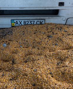 Media: Arabia Saudyjska wśród odbiorców zboża wywożonego z Ukrainy