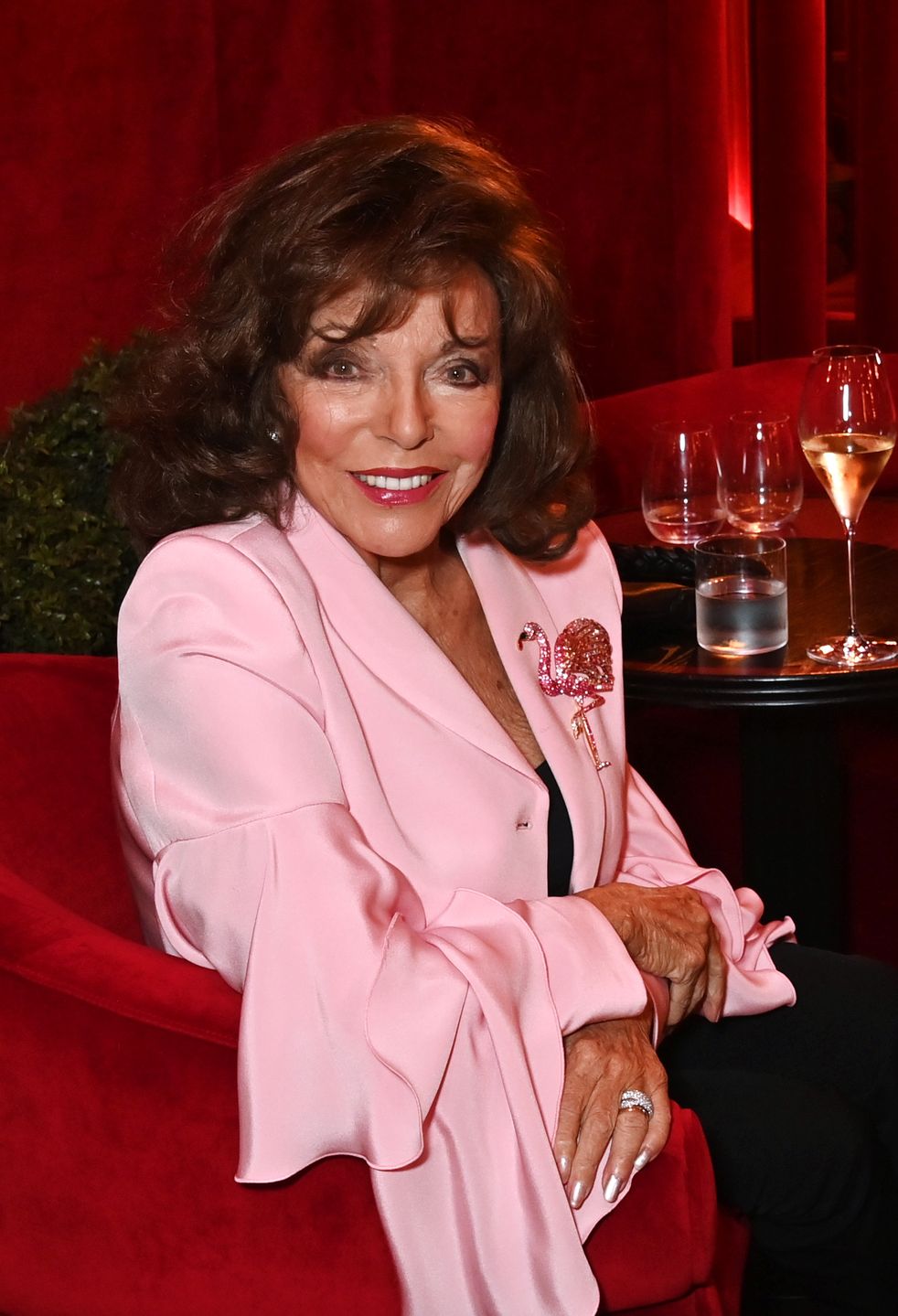 Joan Collins rozbudzała wyobraźnię 