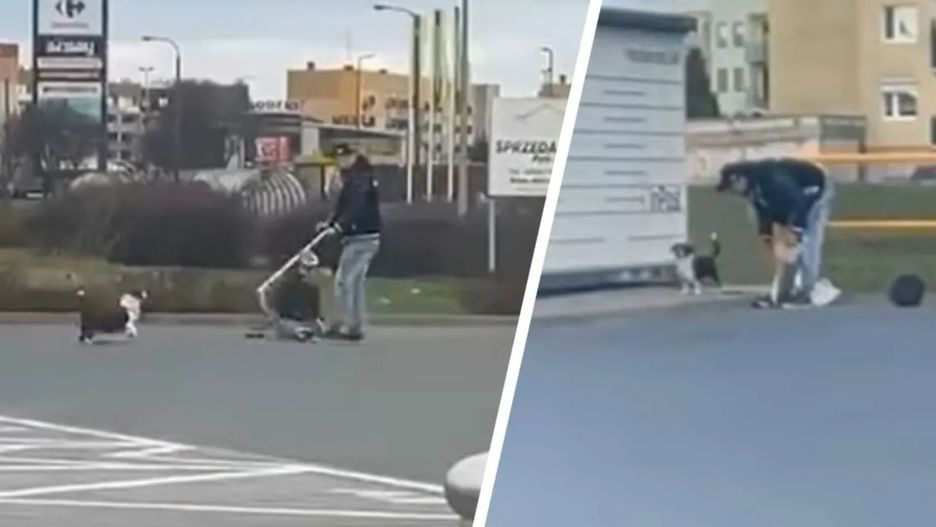 Znęcał się nad psem podczas spaceru