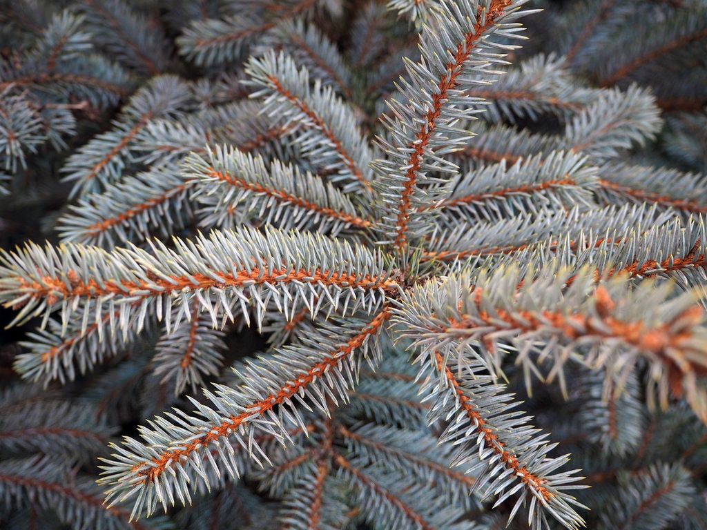 Olympus OM-D E-M10 - pierwsze zdjęcia 4