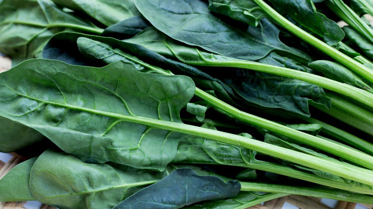 Umyty i osuszony szpinak na talerzyku