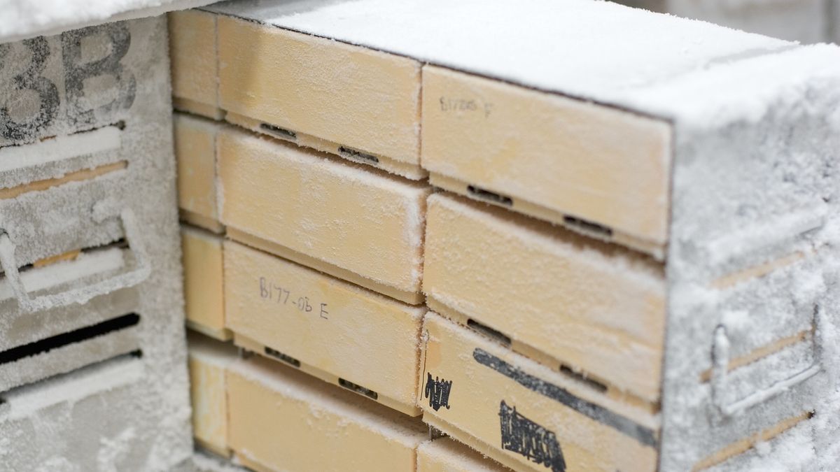 Boxes in Freezer 2
medical Samples stored in a -80C freezer - Brrrr
erxolam
Box, Cold, Cooler, Crate, Cryobiology, Deep, Equipment, Freezer, Frost, Frozen, Healthcare And Medicine, Ice Crystal, Laboratory, Medical Sample, Rack, Refrigerator, Research, Science, Scientific Experiment, Snow, Storage Compartment, Water, White, brrrr