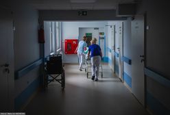 Świdnica. Prokuratura nie zdążyła z sekcją. Ciało ciężarnej zostało skremowane