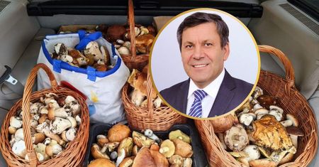 Janusz Piechociński pochwalił się zdjęciem grzybów. Wyjawił ulubione miejsce grzybobrania
