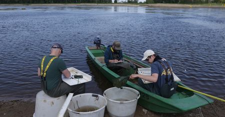 Upały komplikują sytuację na Odrze. Zespół Zarządzania Kryzysowego zaleca pilne działanie