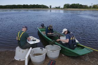 Upały komplikują sytuację na Odrze. Zespół Zarządzania Kryzysowego zaleca pilne działanie